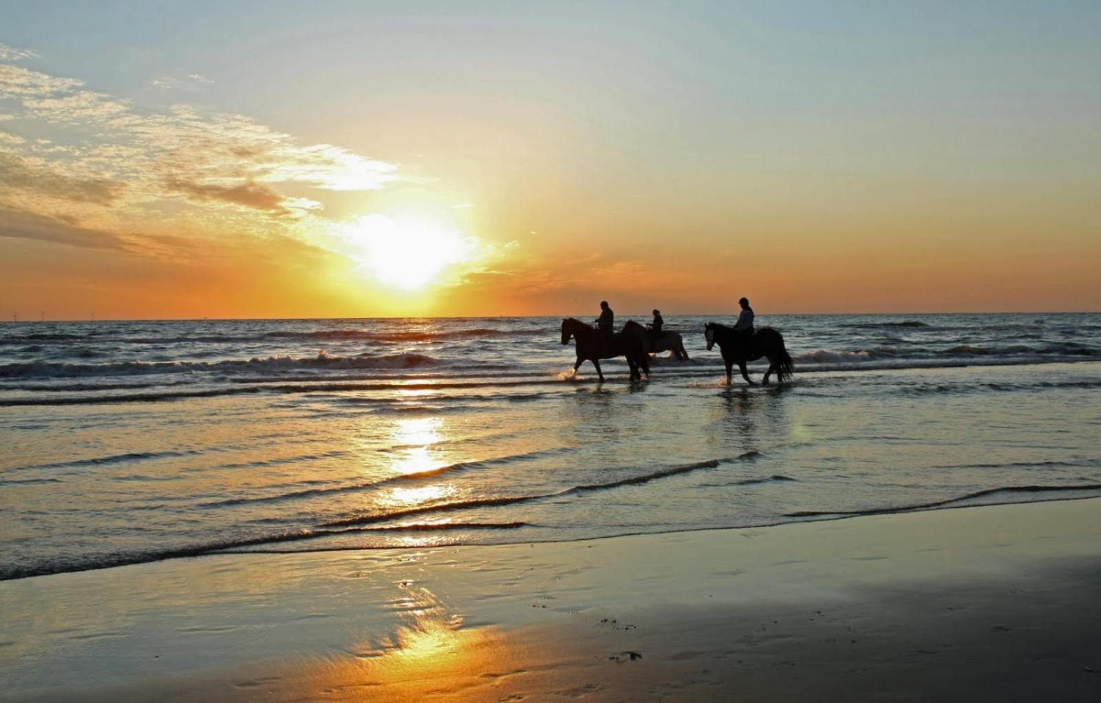 Mer Et Soleil A Blonville Sur Mer/ Deauville מראה חיצוני תמונה